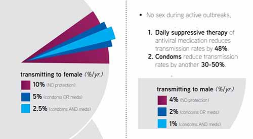 Herpes transmission rates broken down